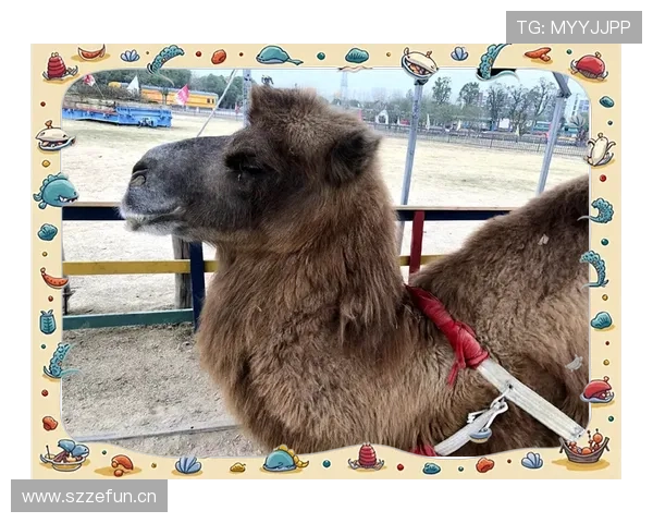 扬尼斯这生活太疯狂，家里竟然还有个迷你动物园？