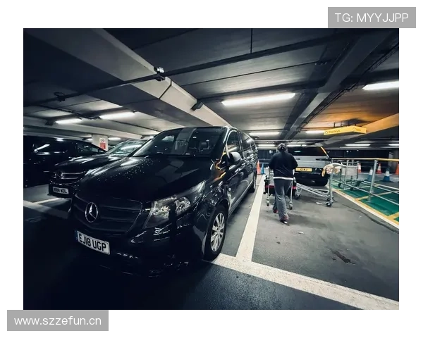 皮斯托瑞斯的豪车都停在哪儿了？这生活比剧本还离谱啊！