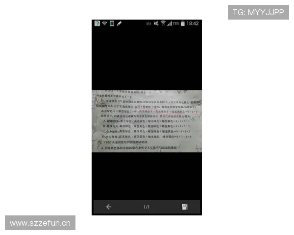 延误比赛违例如何判定？新手必知的规则关键点